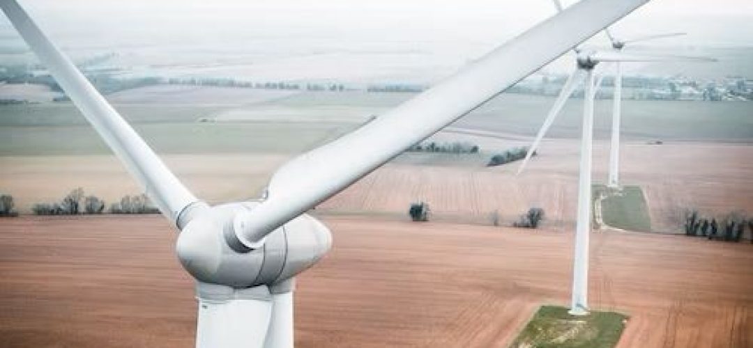 Animation de réseau durable