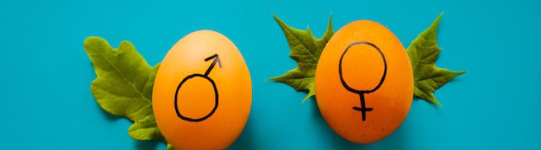 Égalité professionnelle femmes hommes.